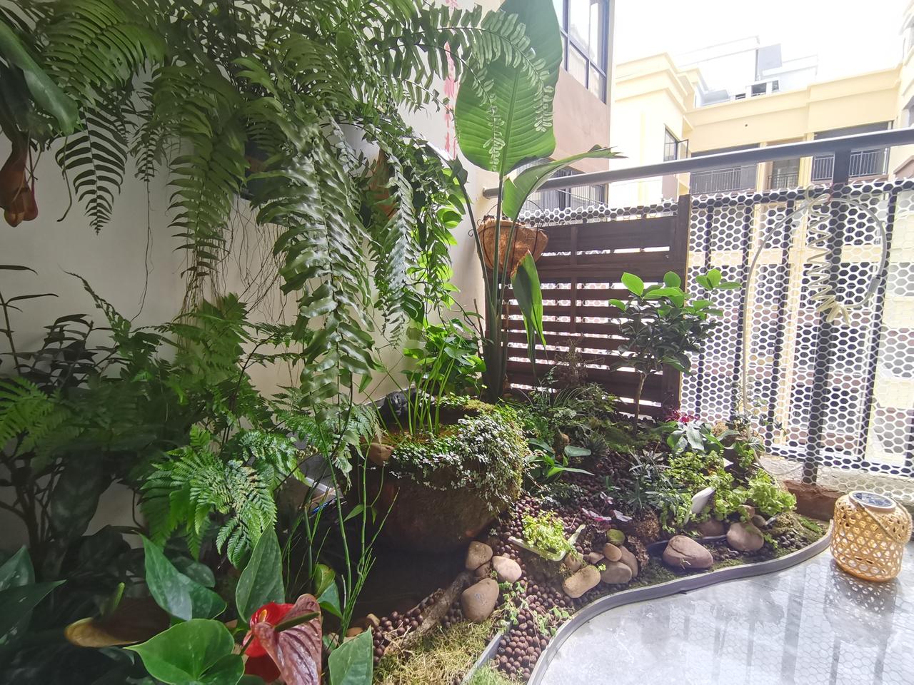 晒晒你阳台上的花