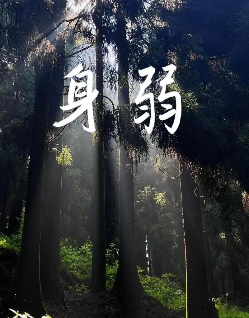 从命里来看，命弱的人要选择适合自己的工作：身弱之人适合做小众创新的东西，避免机械