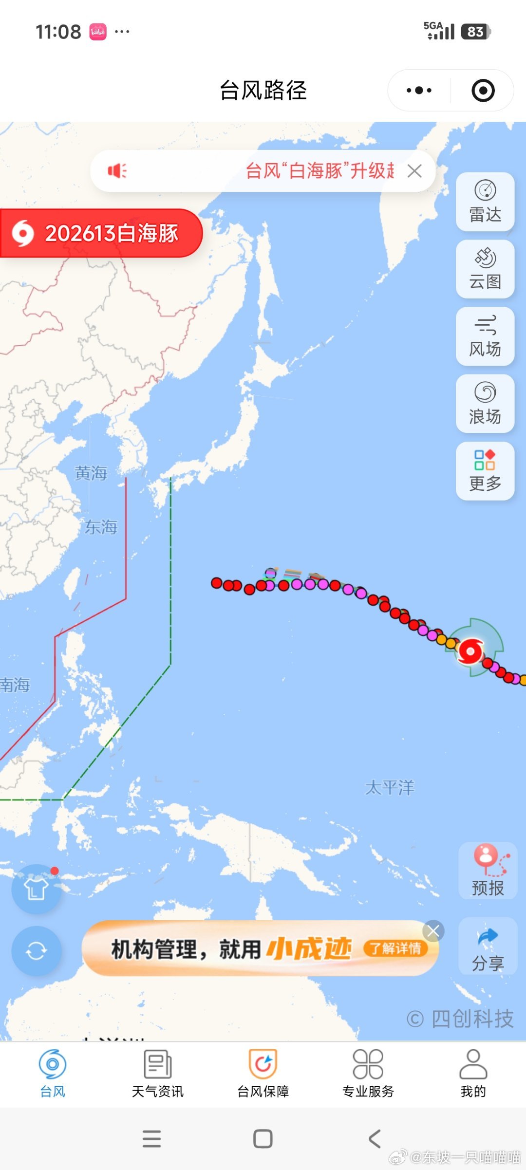 我了个白海豚……你补药过来啊啊啊啊啊啊