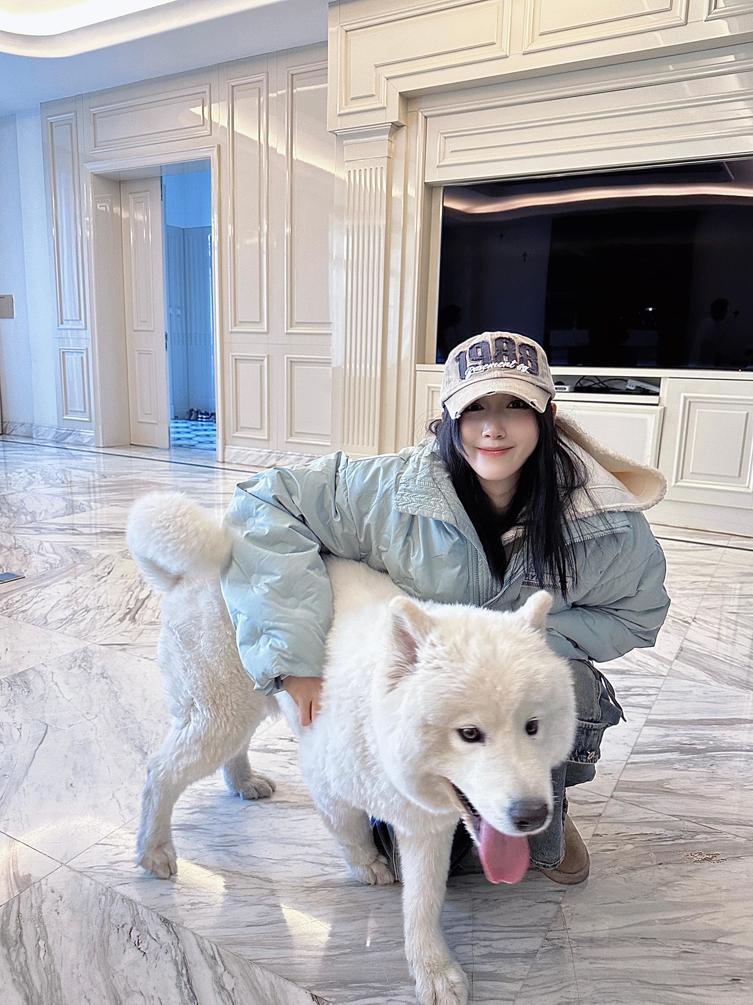 阿猫阿狗阿姐 ​​​