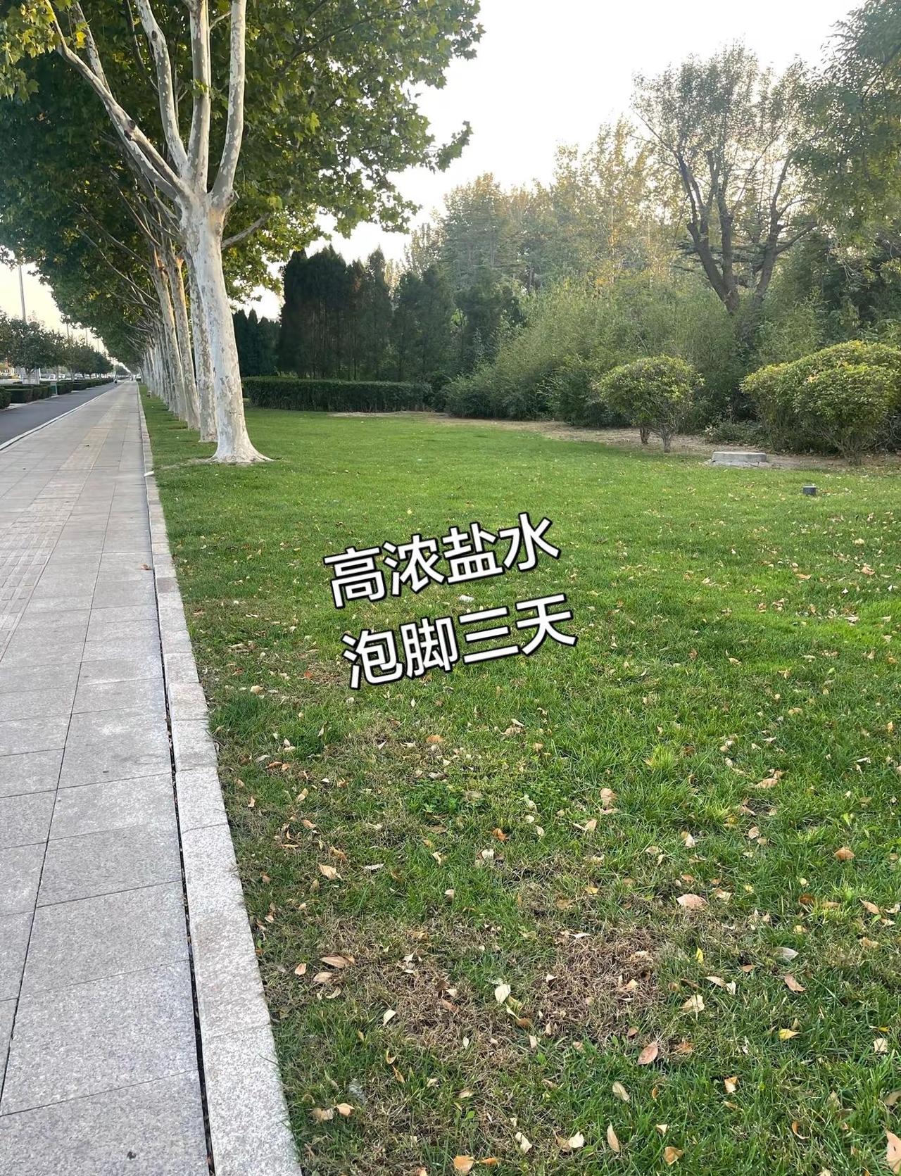 NBA季后赛西决 G1马刺客场挑战雷霆，"武僧"文班亚马狂砍 41分 24板，风