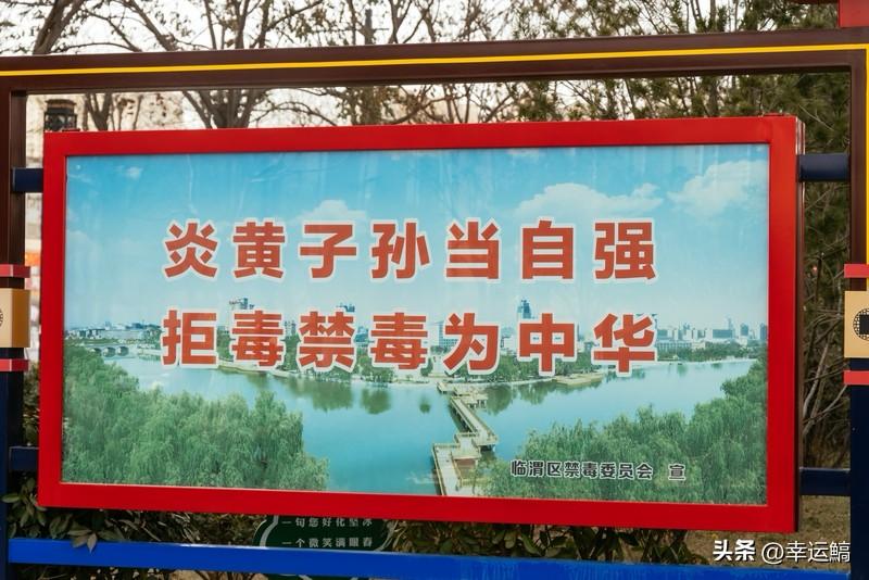 人生的意义是个常被讨论的话题，现代人常陷入意义虚无的危机，追问工作、婚姻等的意义