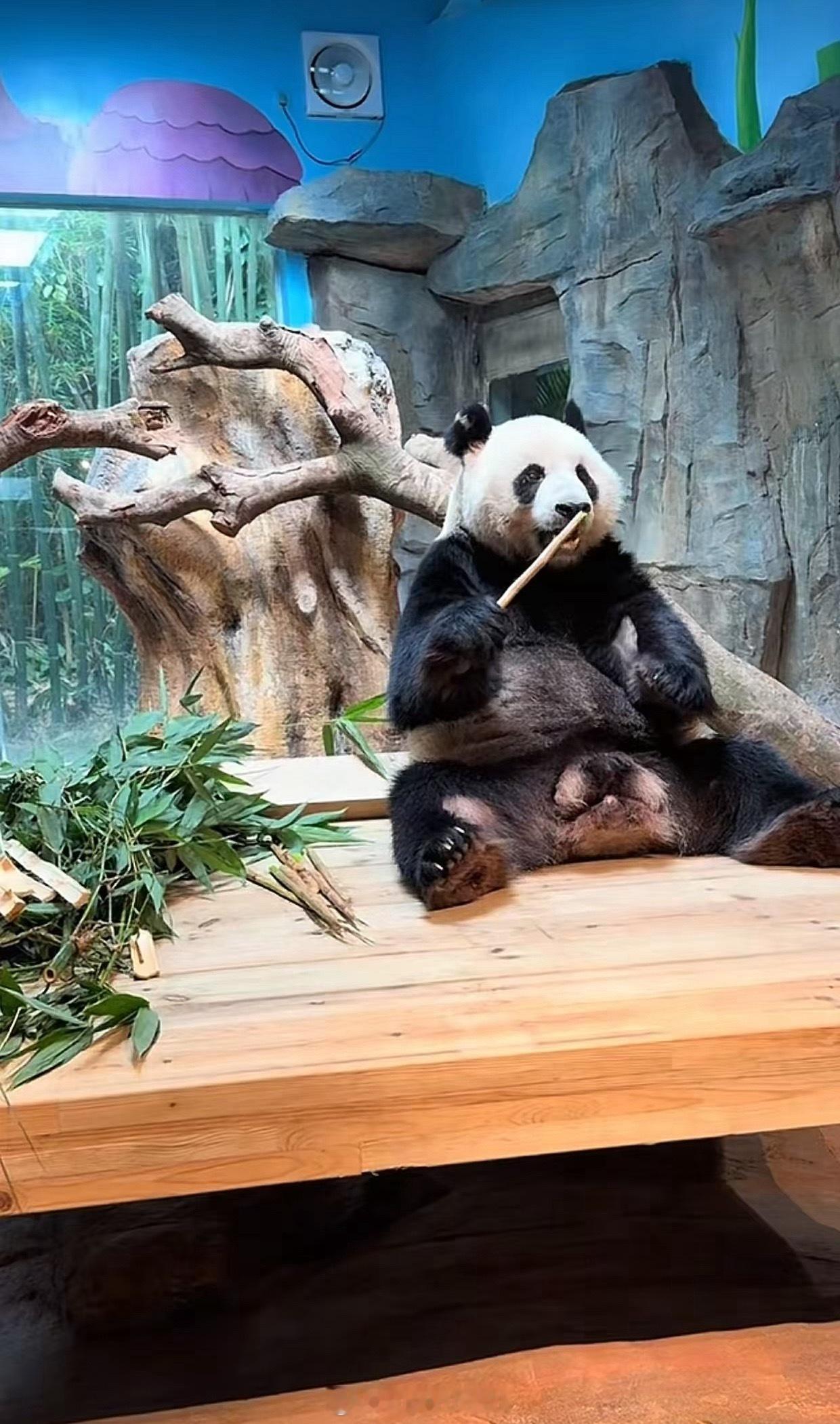 网友投稿 长隆发了婷仔。 