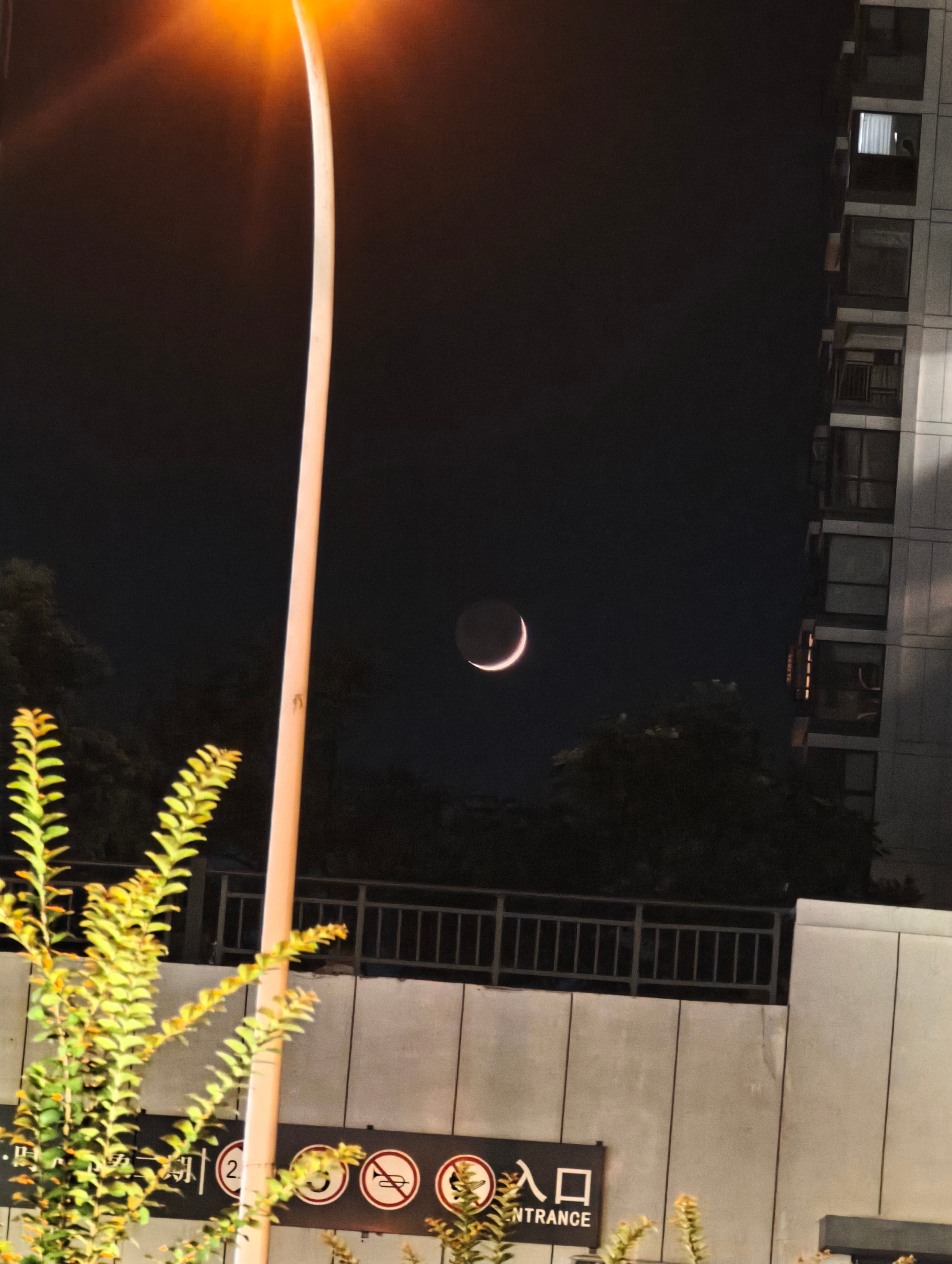 🌙 