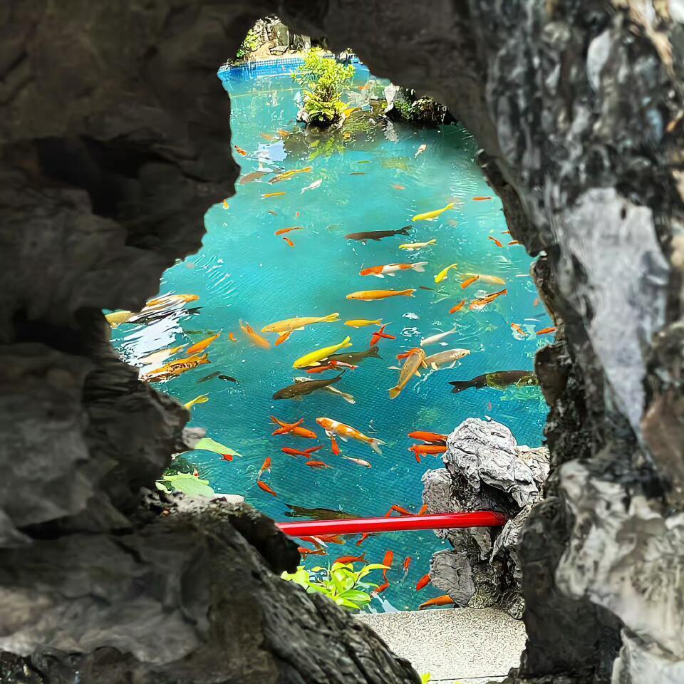 不是所有的鱼都生活在同一片海里，人各有不同，无论遇到什么样的人都不稀奇。无论活成