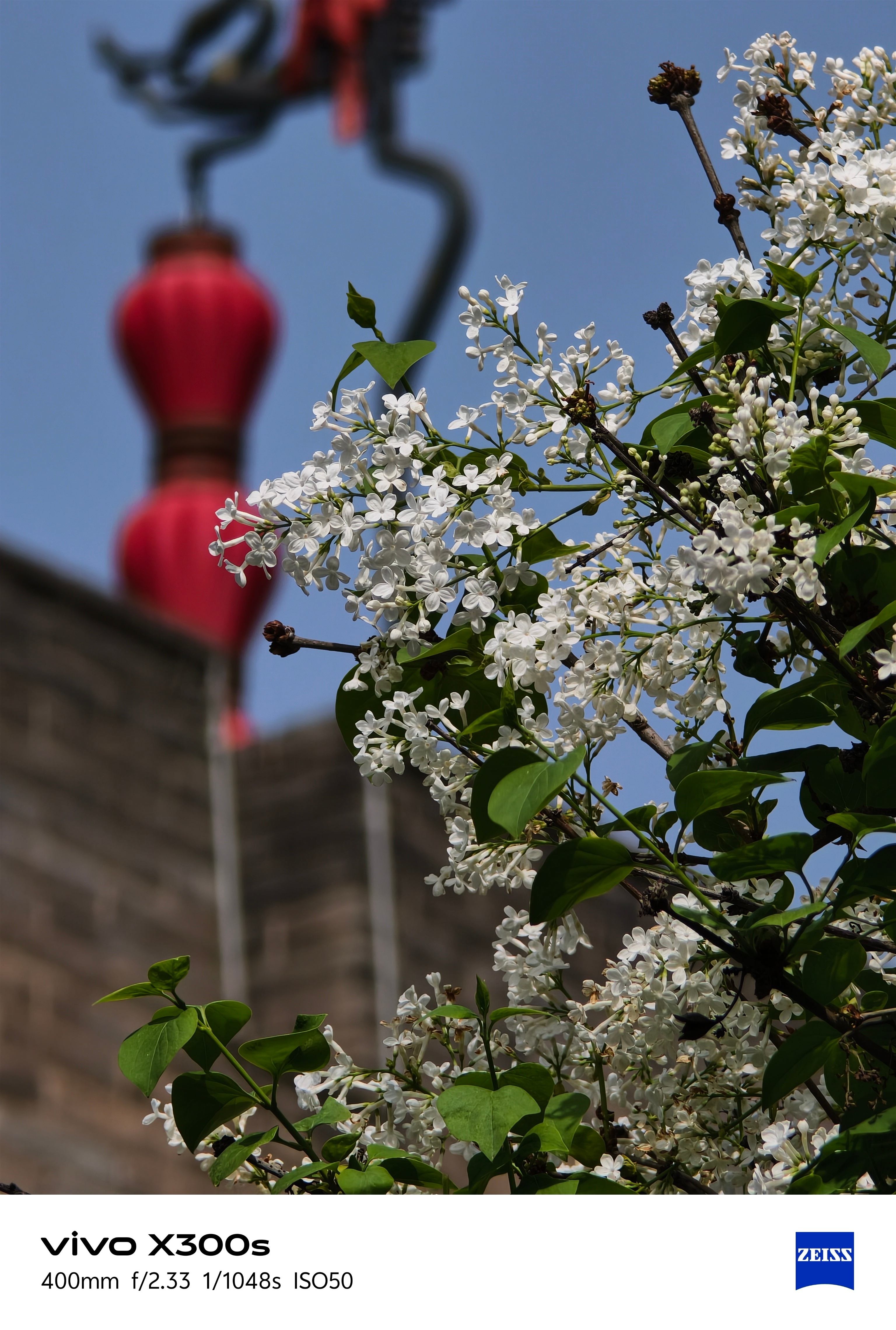 还好昨天趁着天气极好逛了逛西安城墙，今天的沙尘暴+小雨直接一言难尽。 