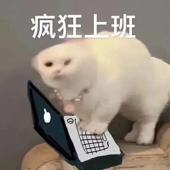 今天为什么特别短的咧咧呈上？因为咪忙忙嘟