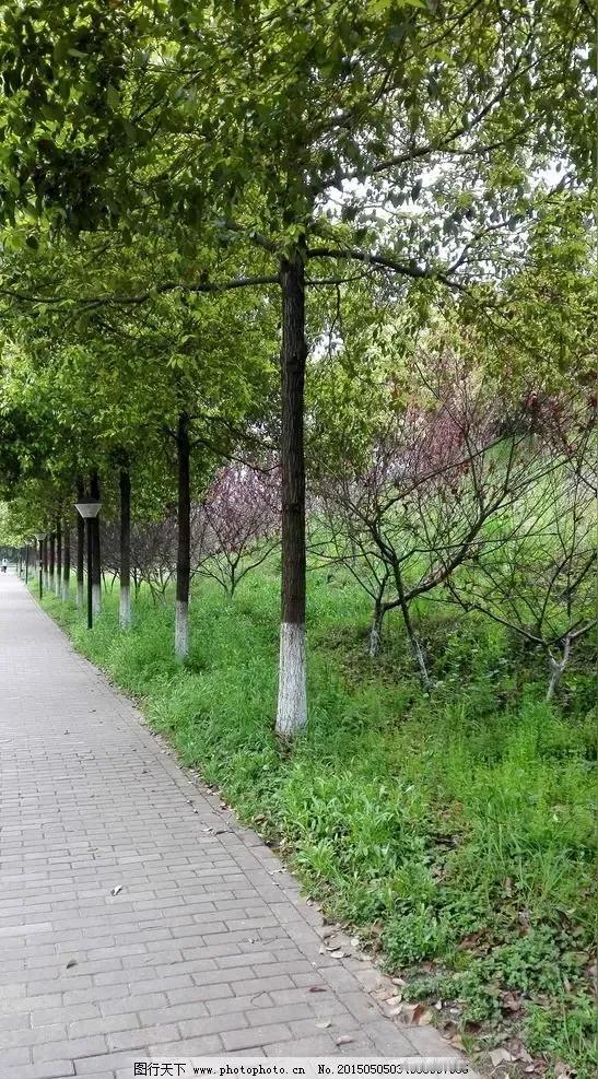 人都死了还留个骨灰有什么意义?
人死后留骨灰没有任何意义一一
人活着，都是为了追