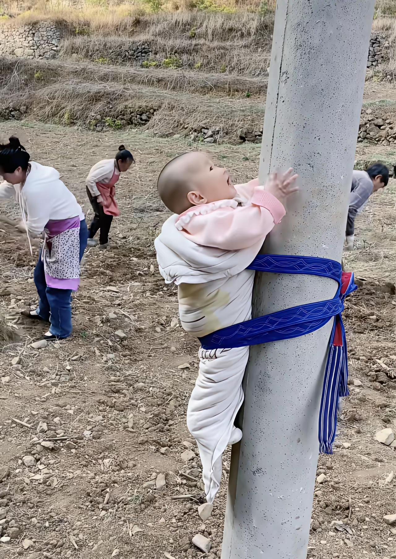 这样绑太没人性了！应该背靠杆子，那样的话孩子的脚可以自由活动，眼睛也能看着大人学