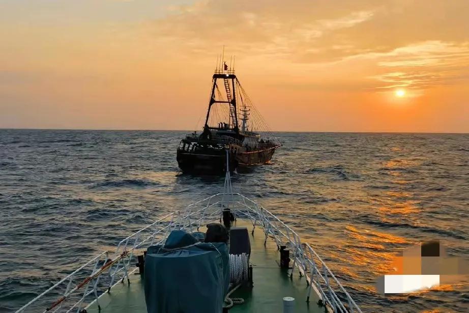 江门海警勇破“红油”走私案，守护海上正义

在广袤无垠的大海之上，正义与邪恶的较