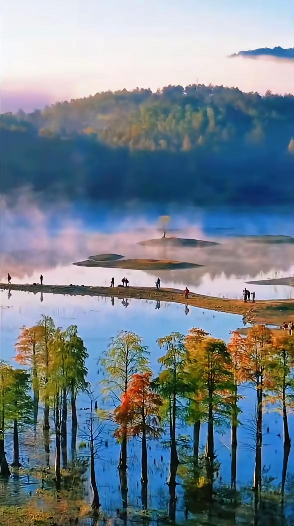 瞬间清醒的话：“只要你一个人住过一次院，不用多，就住七天。你会明白，所谓孤独，全