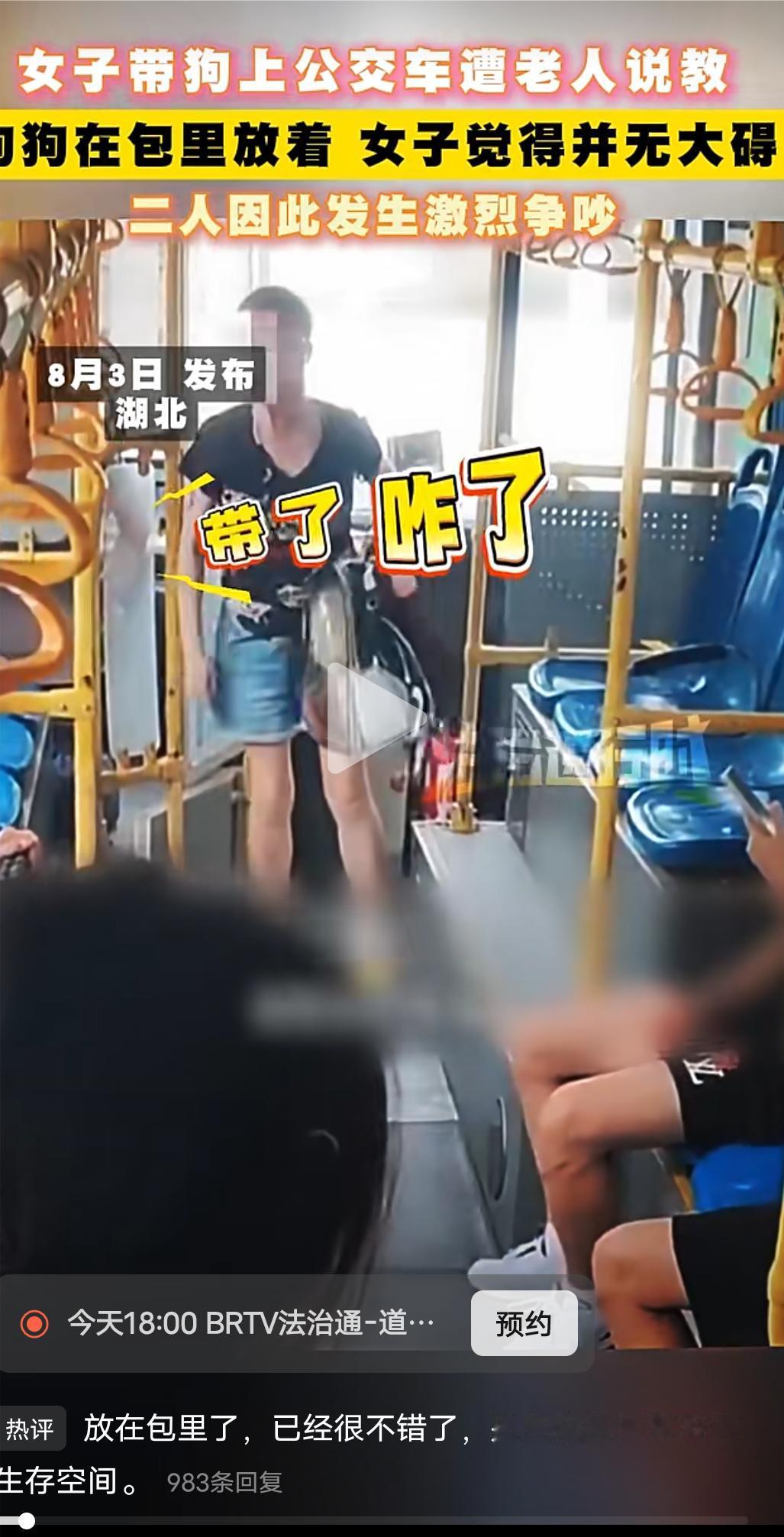 女子带狗上公交遭老人说教！到底谁对谁错？
湖北襄阳一名女子把小狗装进背包带上公交
