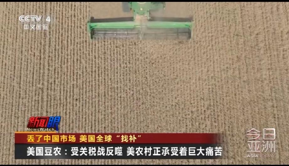 美国农民已经彻底哭晕在厕所。
近日，根据美国农业部的数据，2024年大豆以245
