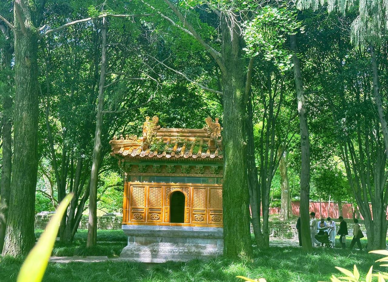 暂停奔波，享受当下 褪去忙碌的疲惫，寻一处安静角落，慢下来，感受生活本来的温柔。