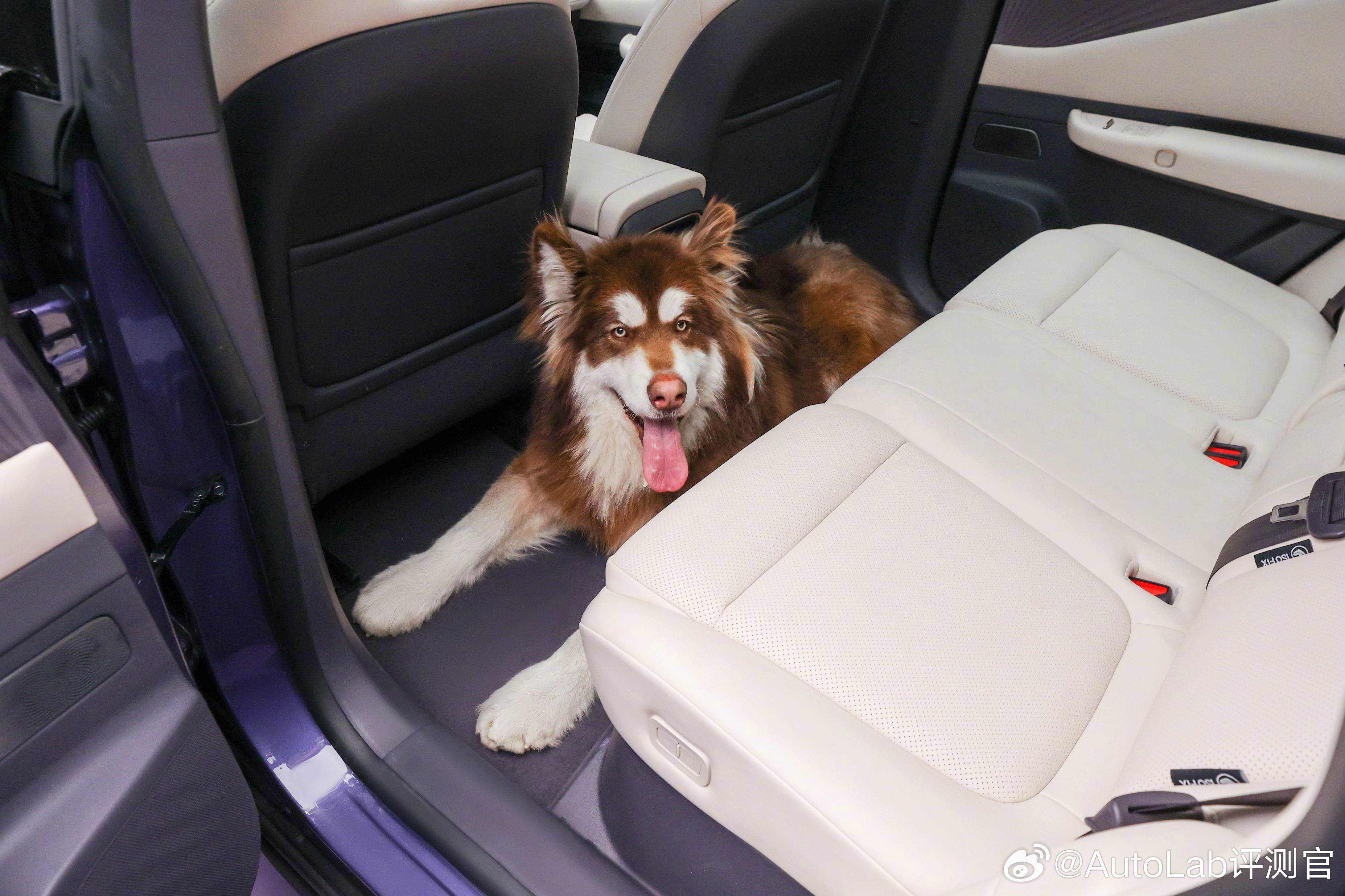 关于日产NX8空间的演示视频，说实话还挺有意思的与其讲一堆看不懂的数据，他们直接