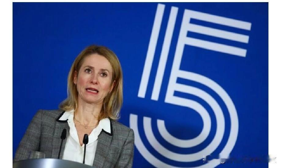 欧盟部长称，乌克兰人，欧洲人必须支持任何结束战争的计划！
布鲁塞尔(路透社)——