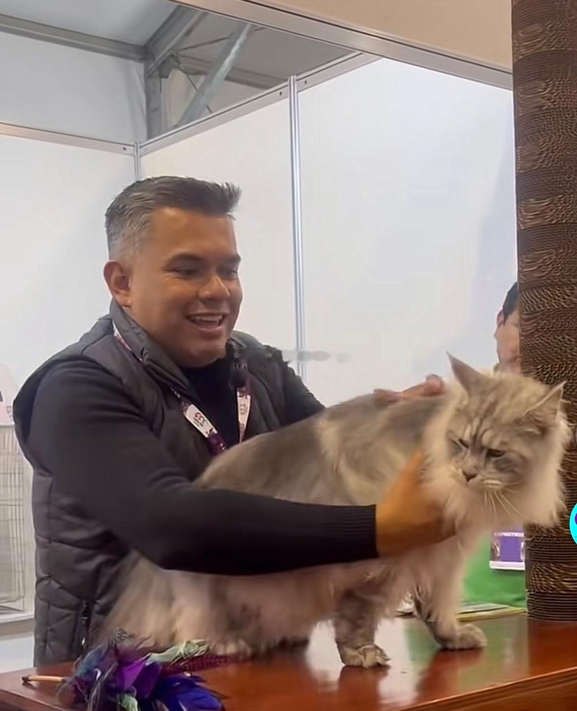 以前养狗子的时候总会看狗比赛最近看比较多的是猫展 