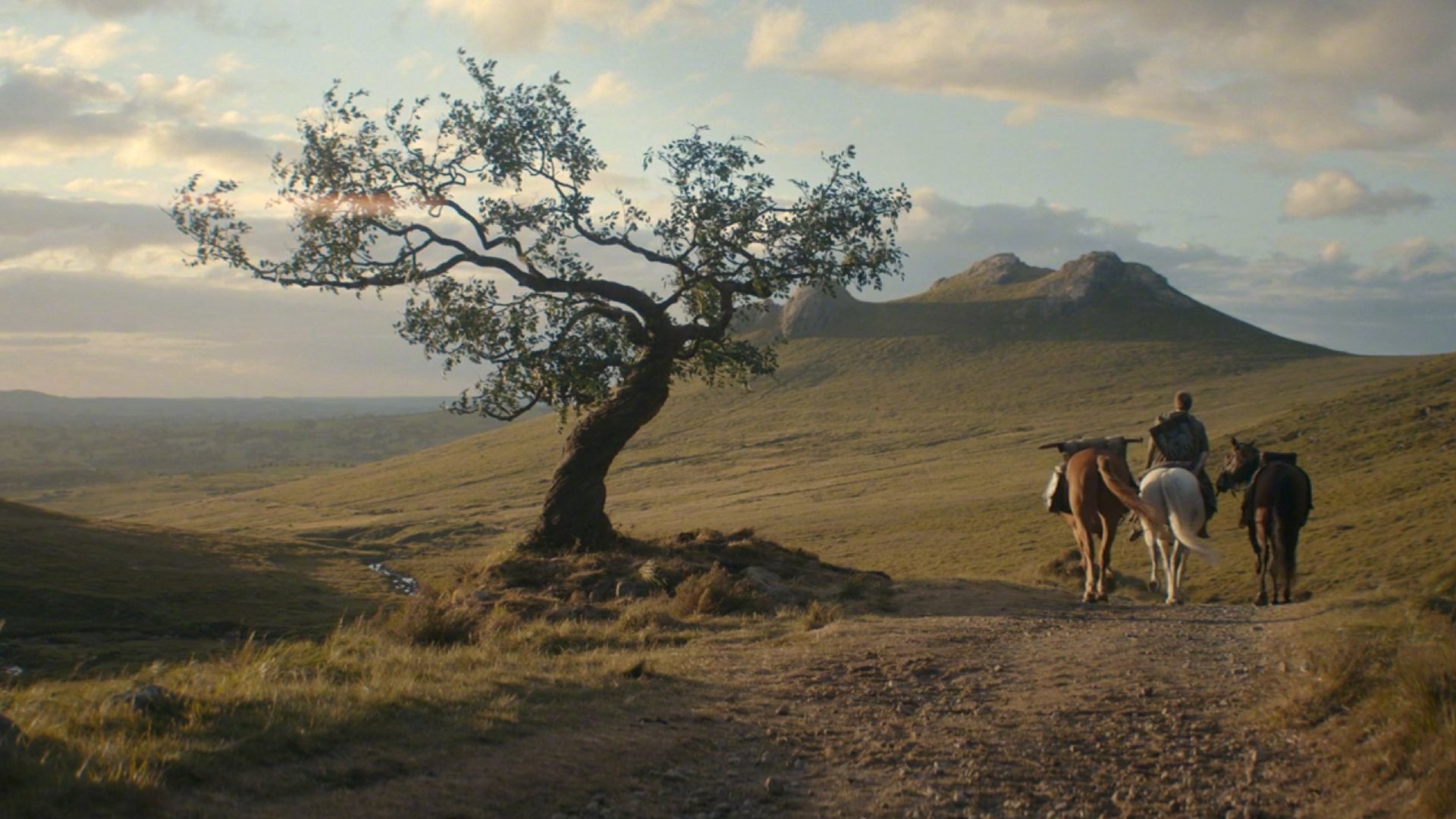 七王国的骑士 观众热议的镜头美学光影和构图都颇有巧思和记忆点，最后一幕的麦田分别