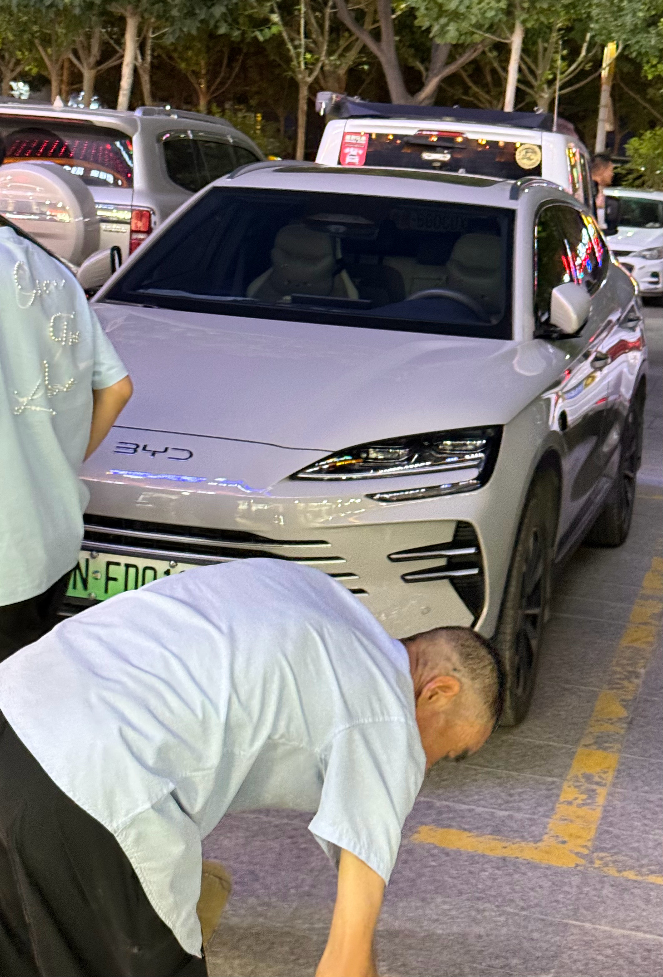 落地新疆已过24h，见的最多的新能源车还是比亚迪的车，海豚、方程豹都不少，要不说