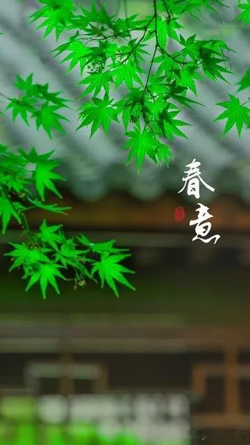 《春回大地》
         文/爱我大江大河
年节已过，
春又归来。
春意融