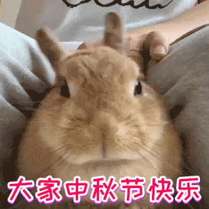 对哦，今天是中秋节哈[笑cry]大家中秋节快乐哈～日常热点数码研习社[超话] ​