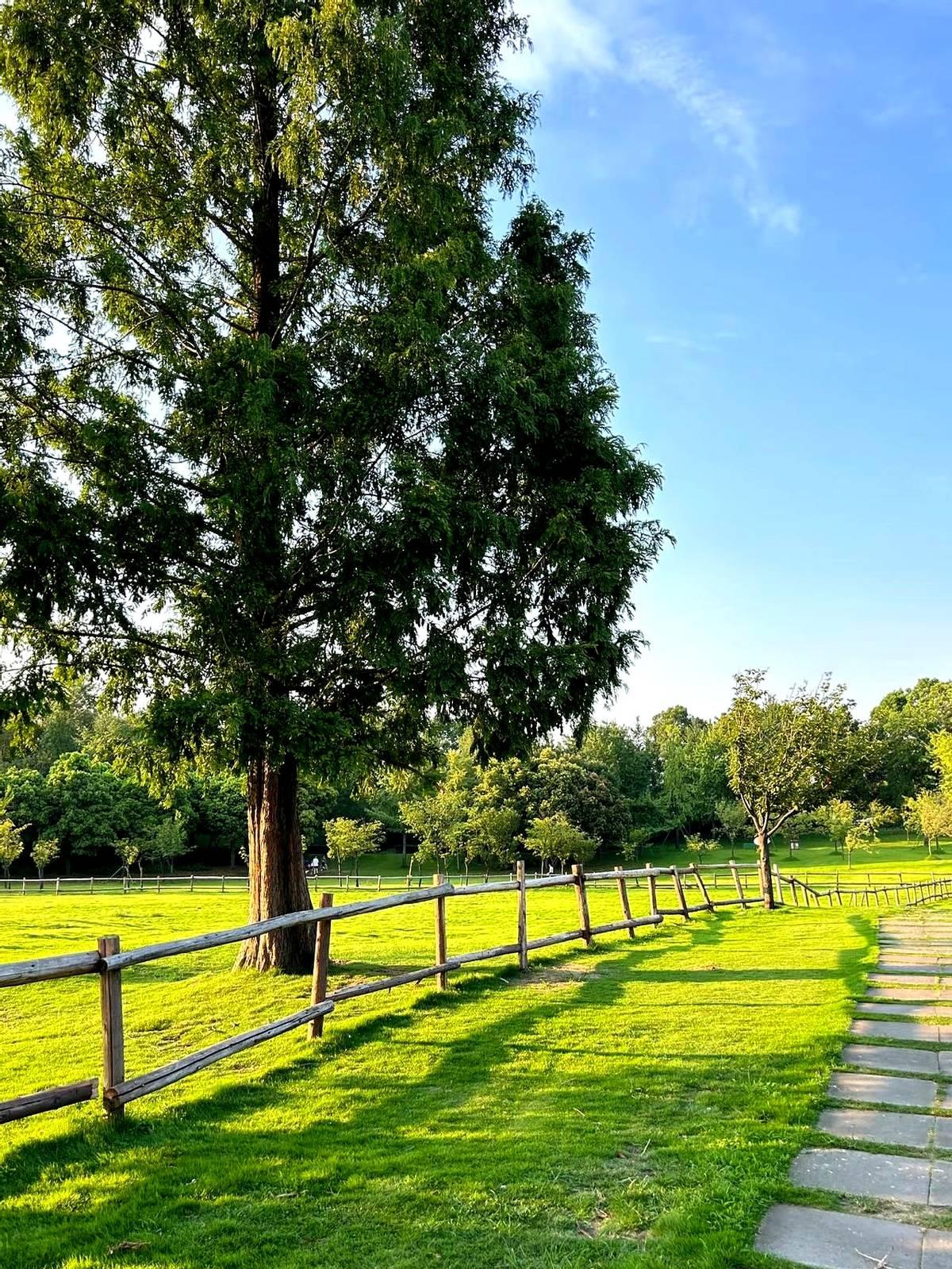 刷到这条“我依然感恩我的婆婆”的长帖时我愣了三秒——老公月薪两万全上交、女儿跟奶