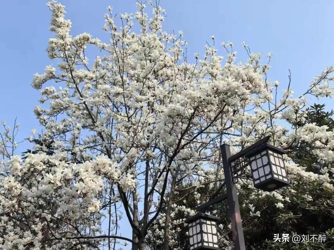 一名网友留言称，
“我觉得别人写的文字也就那样，我也能写！”
“别人也就这水平，