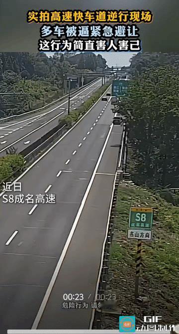 高速上违规调头；高速上逆行；高速上从入口下去的。这司机不仅仅是猛，而且还蠢，比二