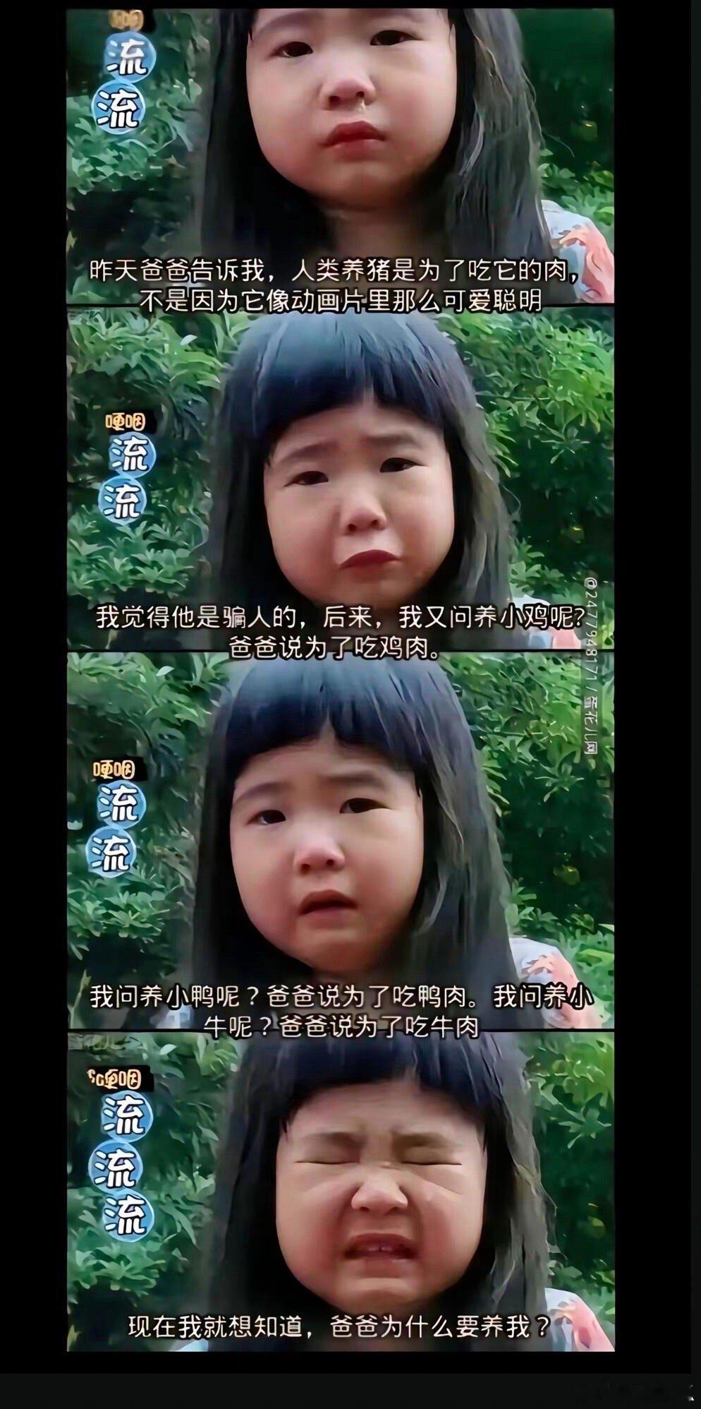 爸爸去哪儿我以前看着没有觉得这么好笑 