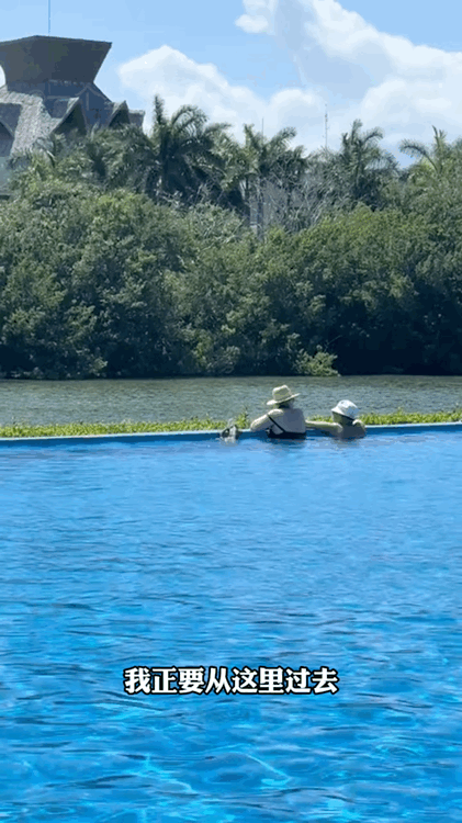 游客正在看往远处的风景，但没注意到突然从身旁游过来的大蜥蜴，吓到懵逼了哈哈哈😂