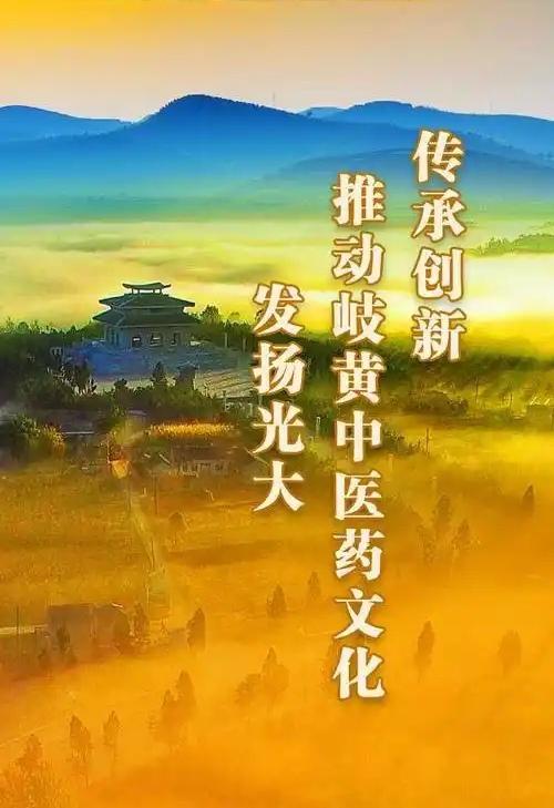 积极发扬中医精粹，理性看待中医与西医的各自优势，不盲目冲动，让传统医学更好服务大