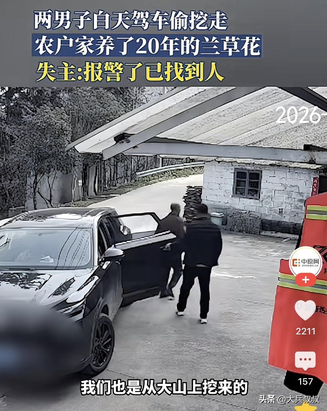 安徽六安，一对农妇20多年前在山上挖了一株兰草，结果两人干完活回家的时候却发现，