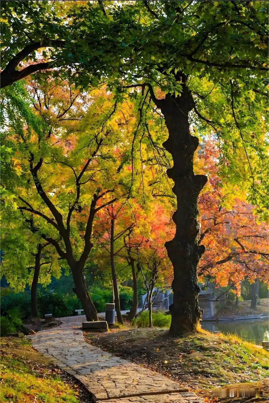 头条的的博主们，你们每天坚持写作的动力是什么？是兴趣还是为了赚钱？