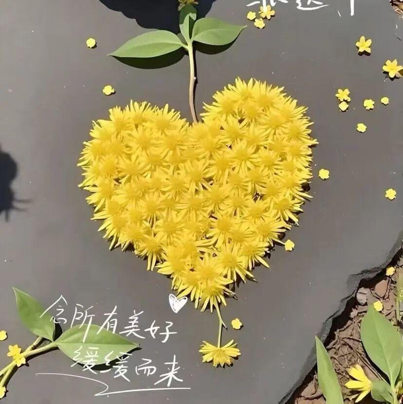 如果你身边有这种人
一定要珍惜
一个十多年不换电话号码的人
他一定没有情债
他也