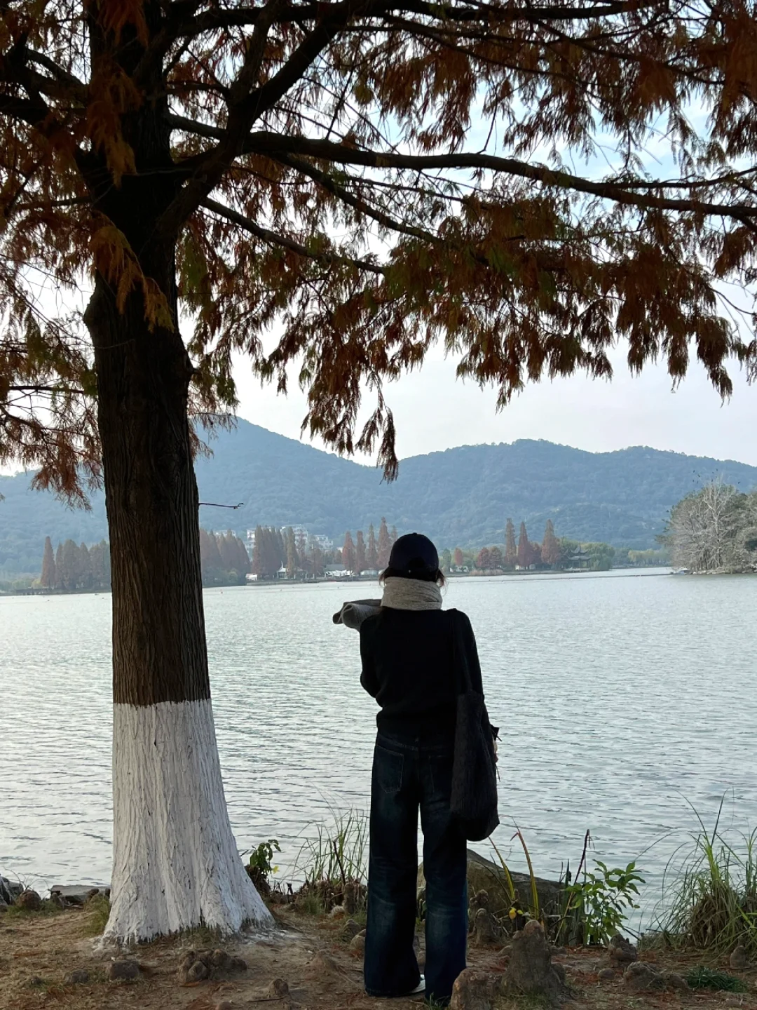 好喜欢冬天