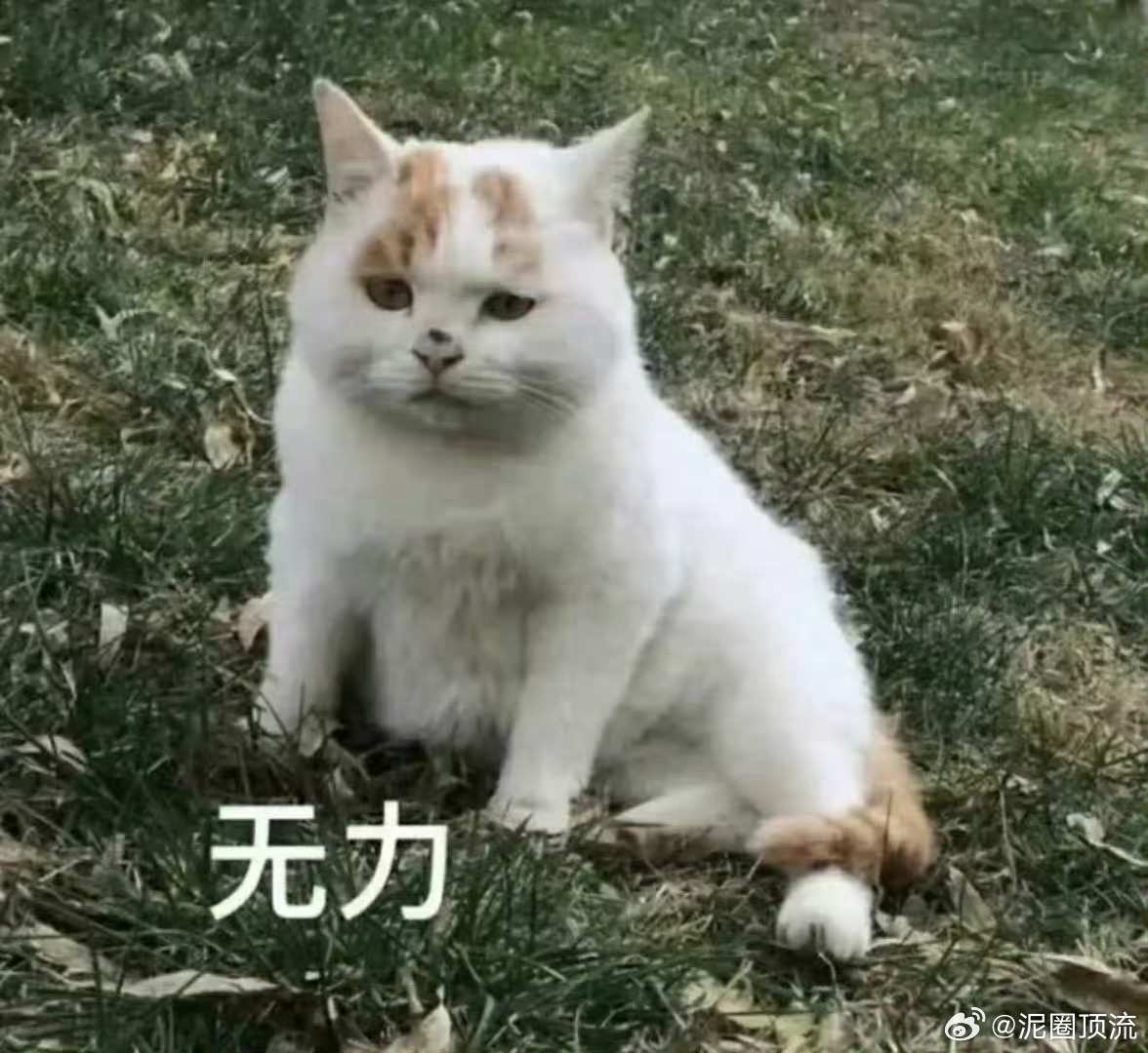 周杰伦照打不想猜谜，简单明了直接说呗