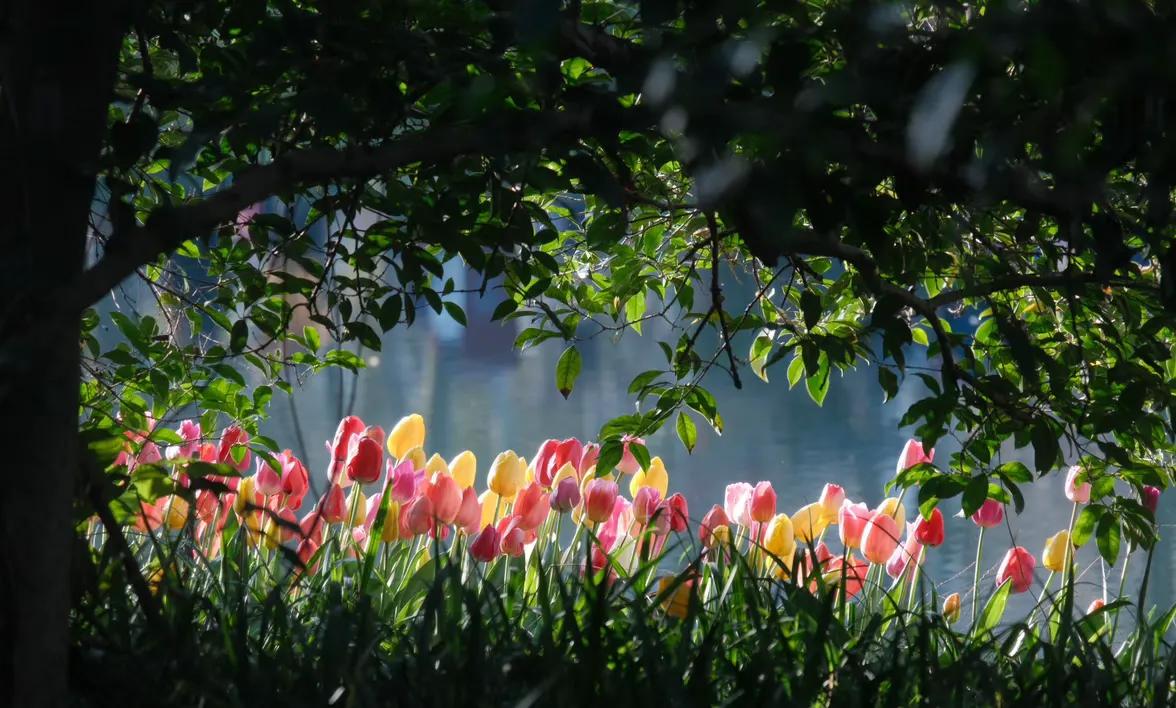 人这一辈子，什么最值钱你们觉得呢？