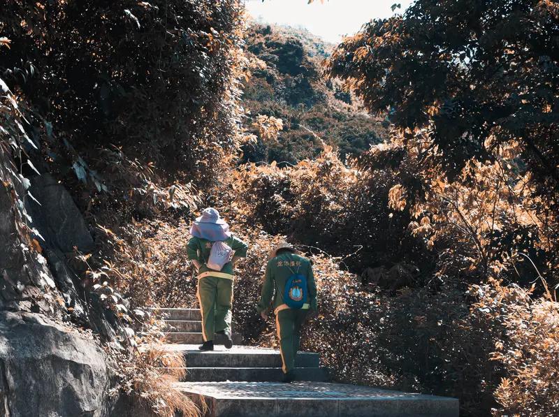 莫泊桑所言“登山的目的不是看你走多高，而是你看到多少风景”，实在是意蕴深远。登山