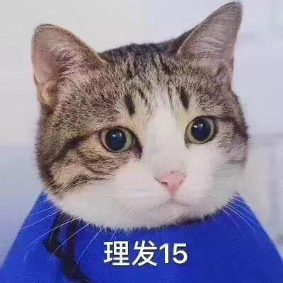 你好，理发15
