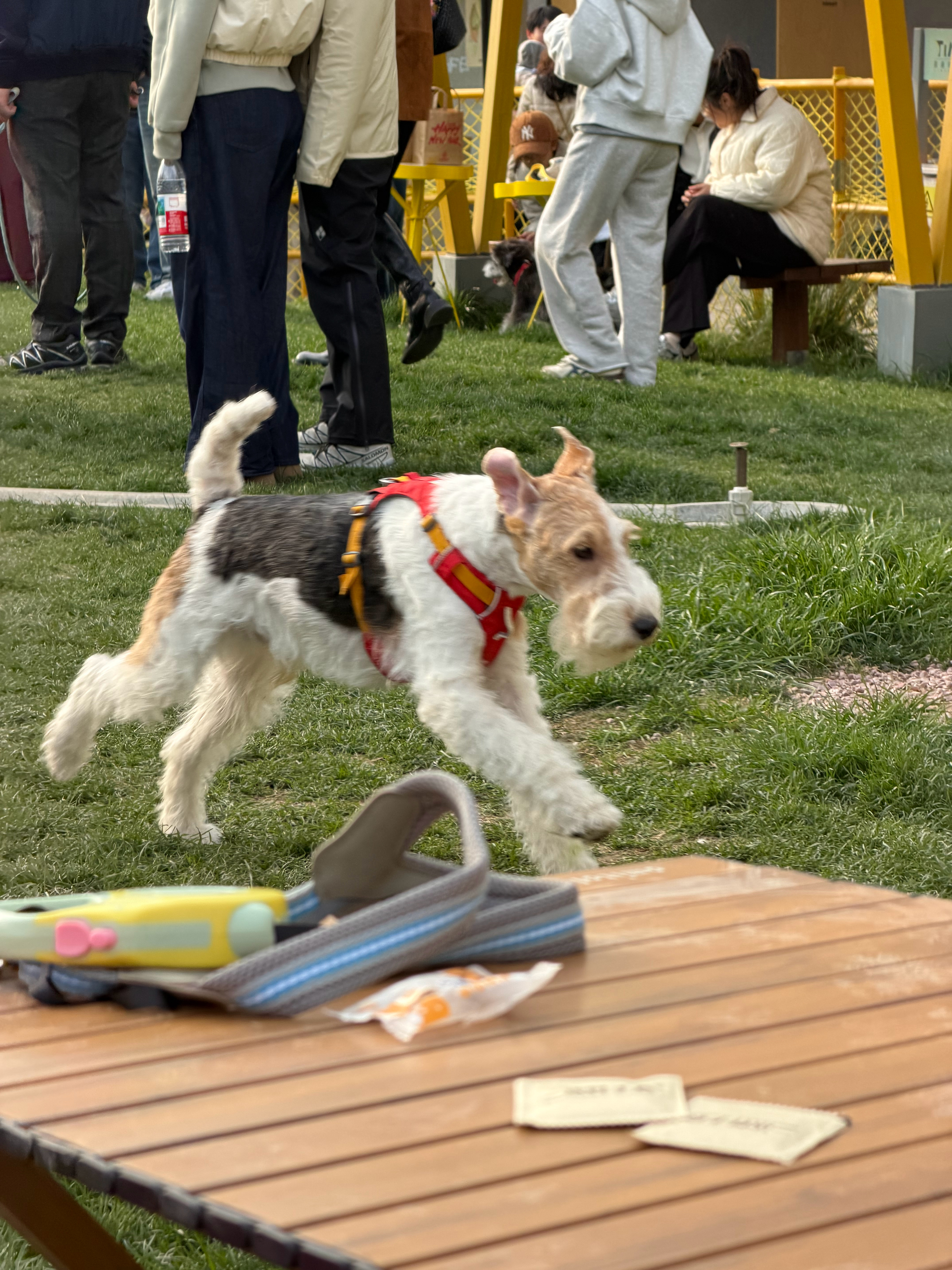 早上好啊友友们～ 苏州