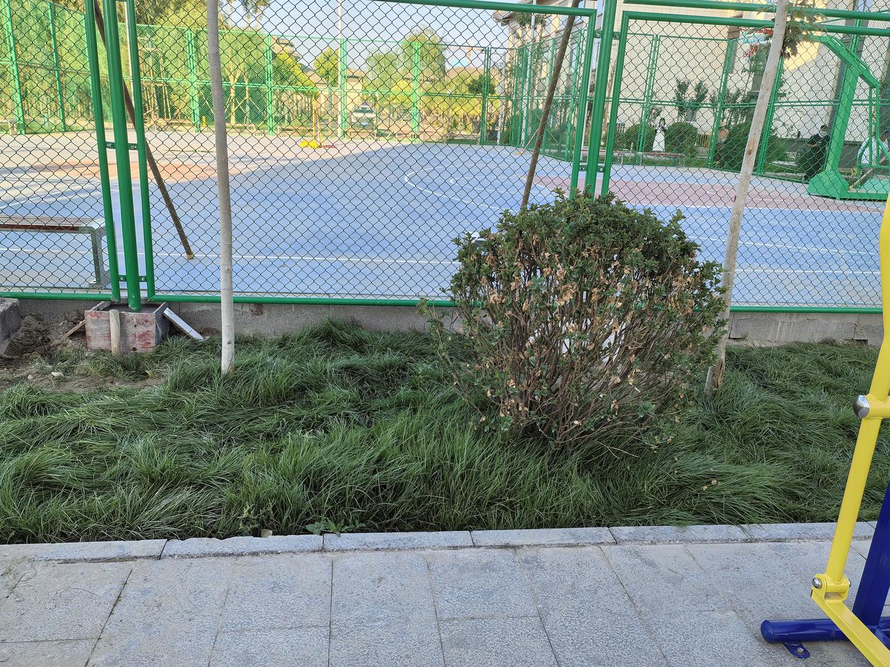 Diary of Aid to Xinjiang（33）2026.6.27.
今