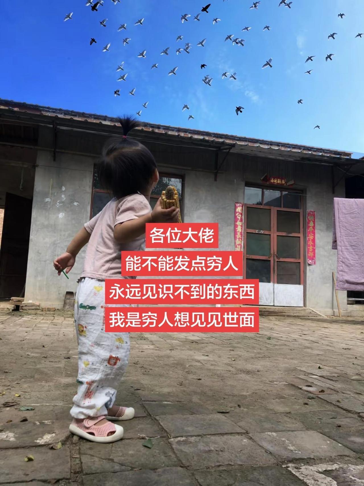 各位大佬能不能发点穷人永远见识不到的东西。穷人