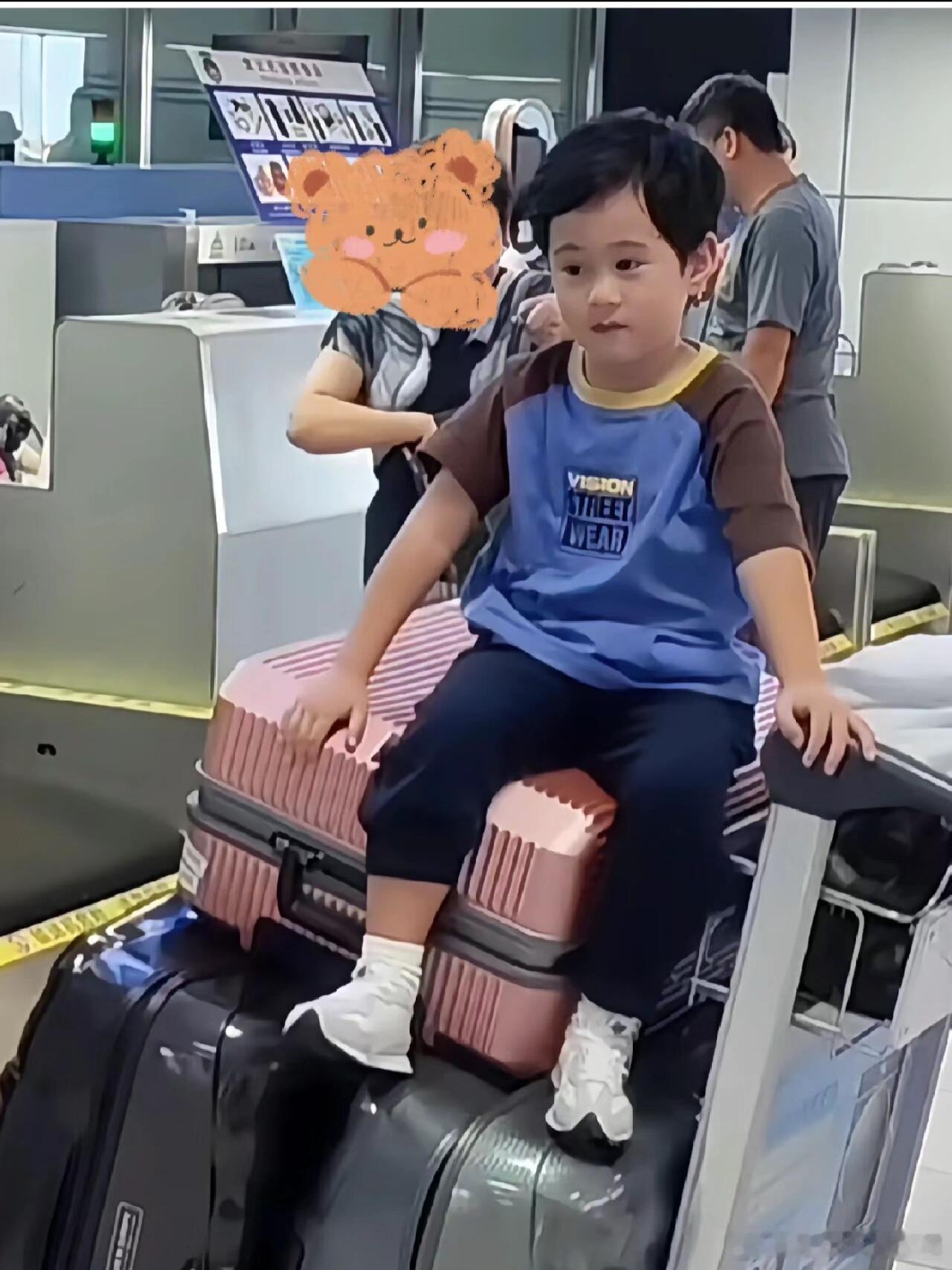 坐在行李箱上好小一只的马立奥怎么表情也看起来这么腼腆呀[馋嘴] ​​​