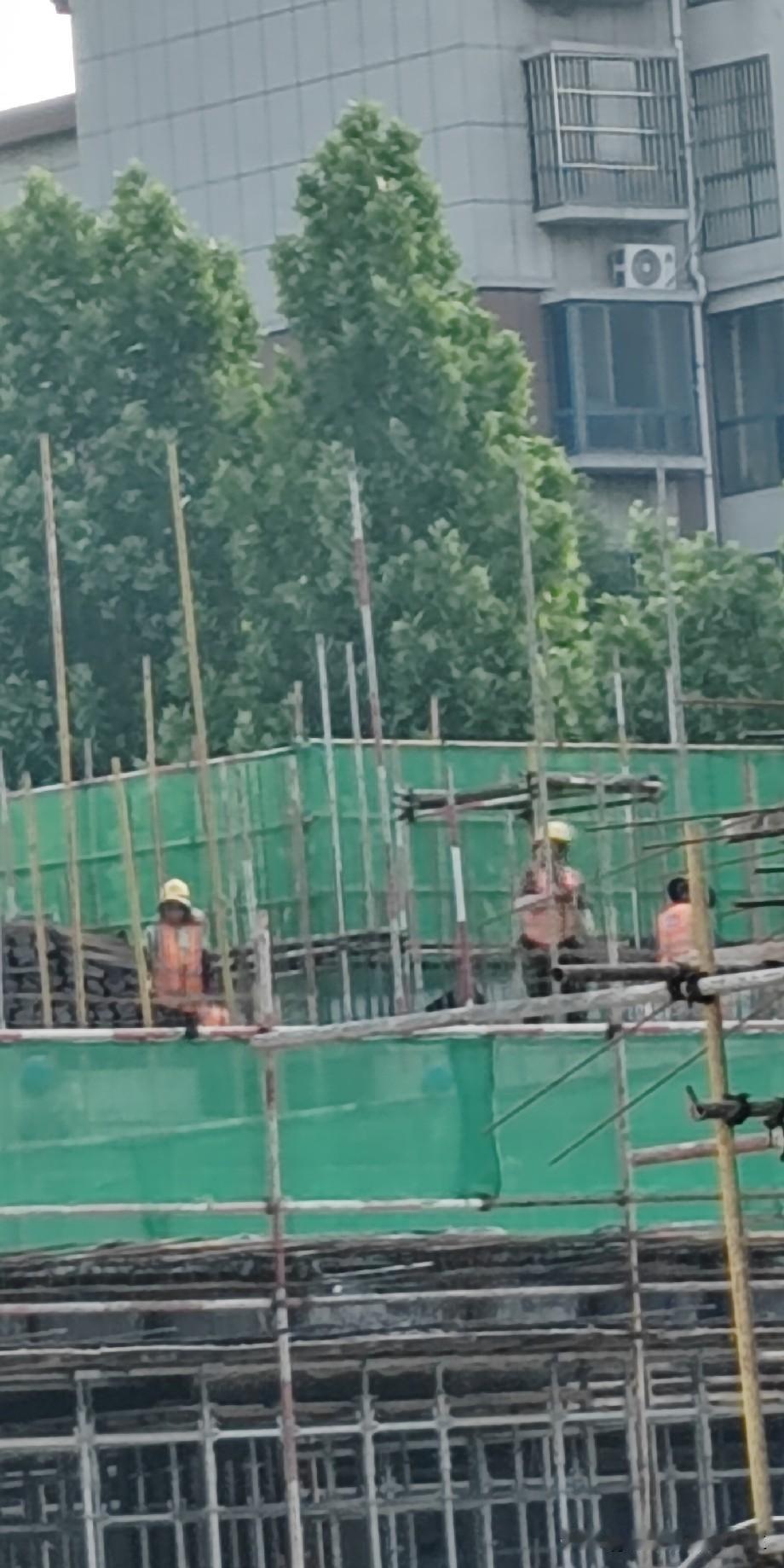 工地干活别总想着挪窝，本事再大换新地也难被认可，踏实干久了才能显露实力。

活儿