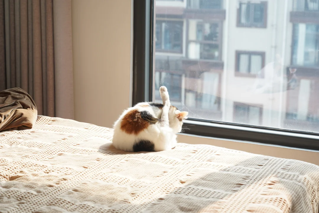 感觉是糯唧唧的口感