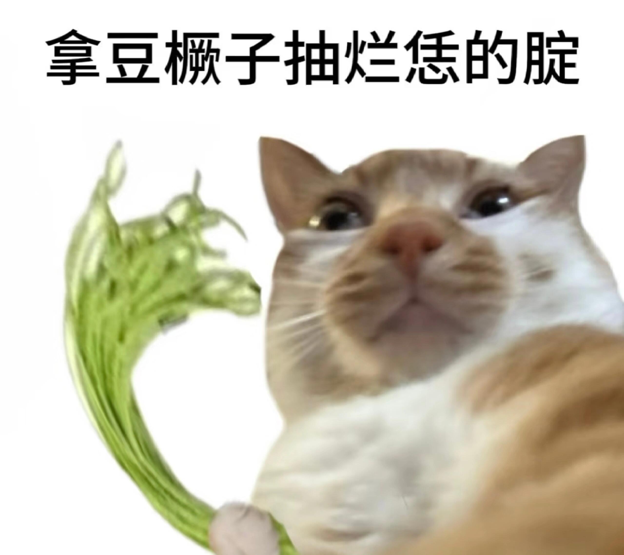 点菜这种文 