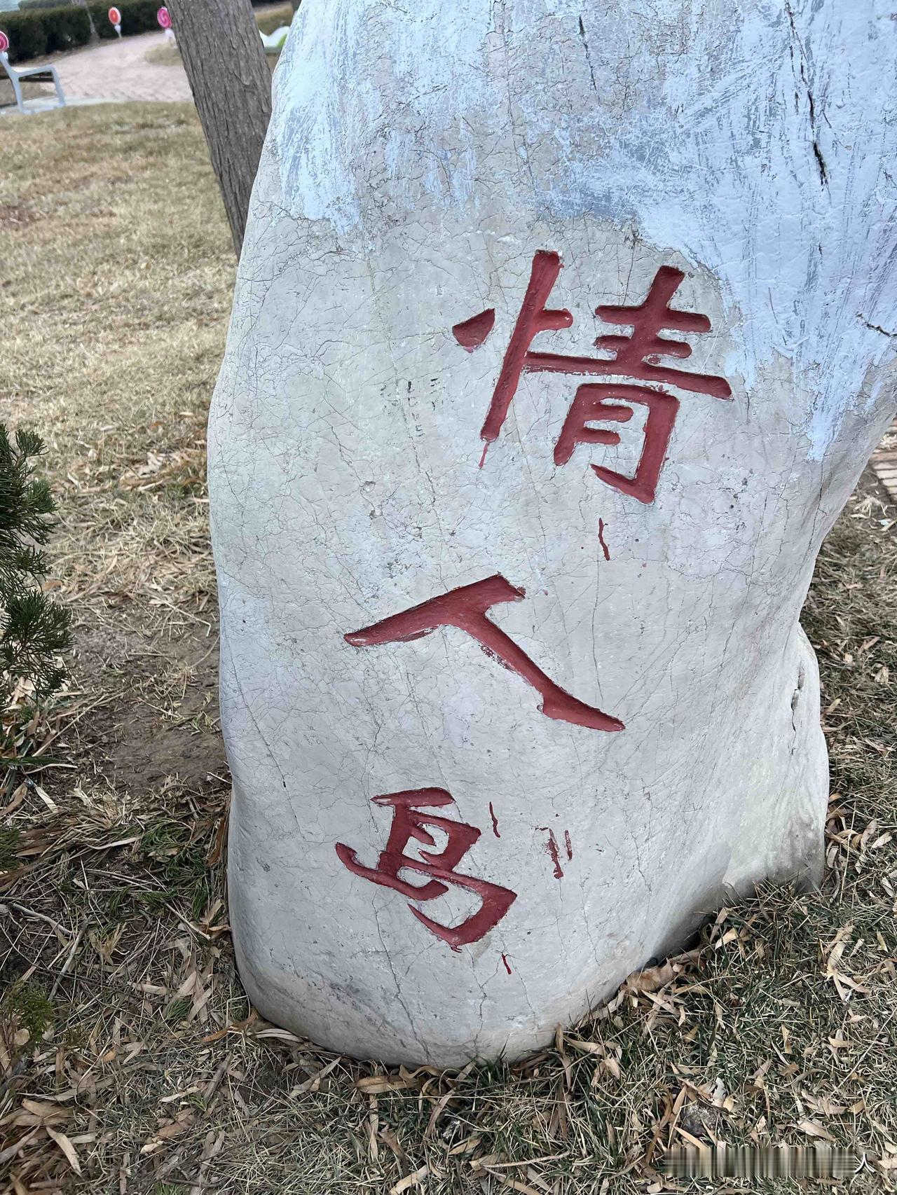 山东滨州中海公园的情人岛，去中海游玩打卡的好地方！