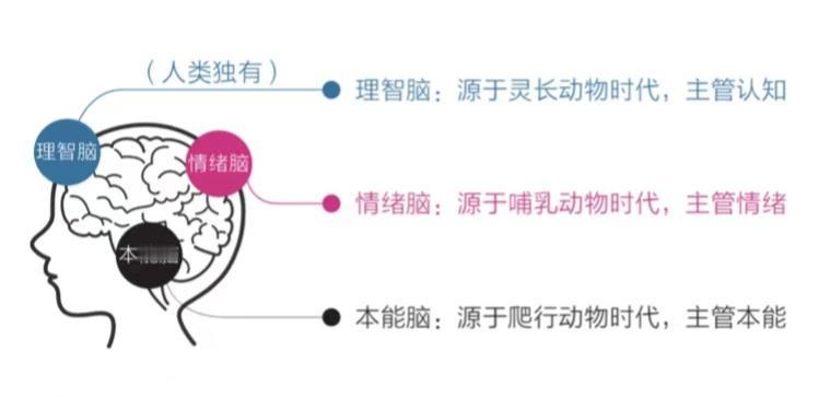 不少人专注力不行，读书老走神？用好这三招

你是不是也这样：终于下定决心读本书，