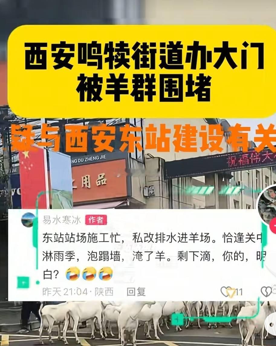 西安一养殖户不满羊圈被淹，赶羊把当地街道办大门给堵了。起因是当地电网施工施工，排
