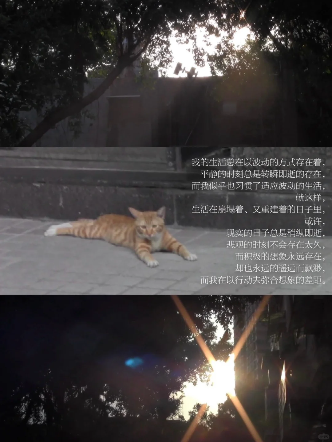 我让身体与世界交互， 形成一种正向的流动。